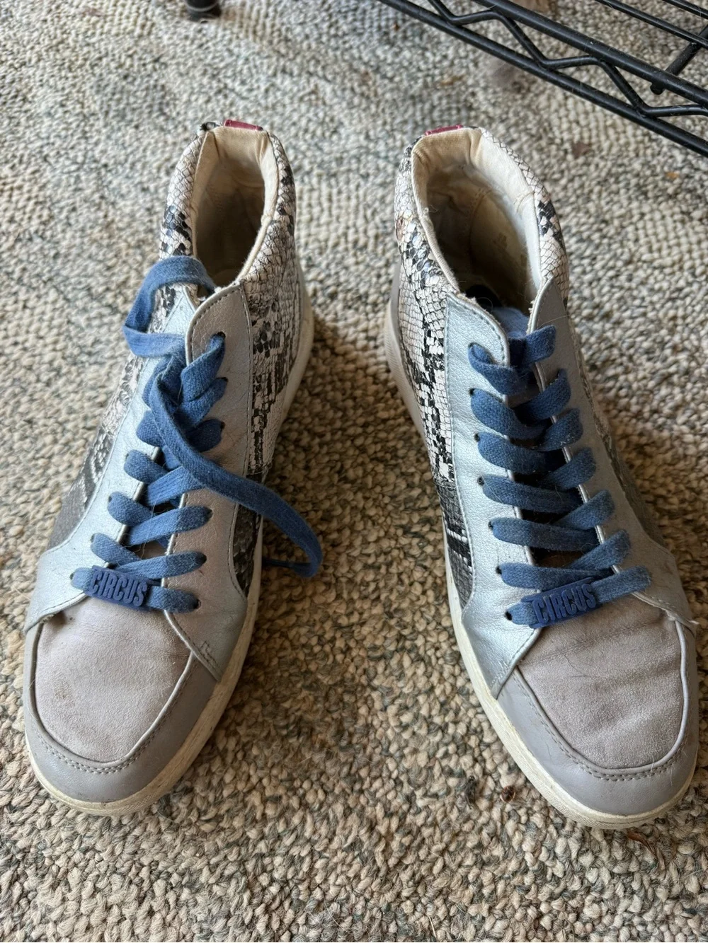 Circus by Sam Edelman Beige Snake-Print High-Top Sneakers with Blue Laces